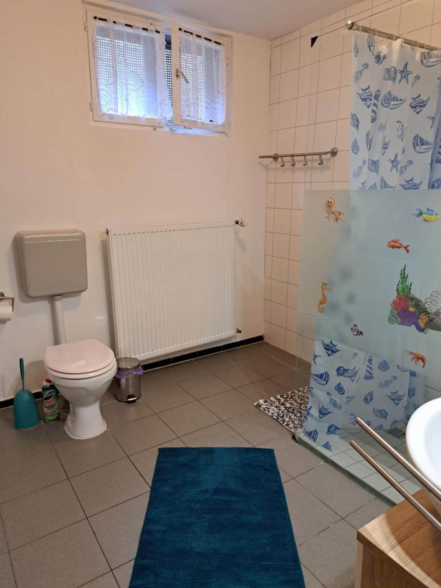 Wohnung Mit 2 - 3 Zimmern Ballenberg Kültér fotó
